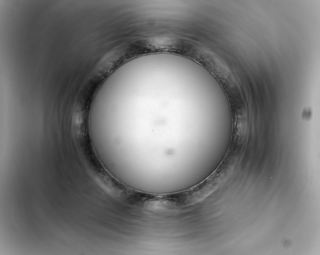 X0000102380408200808151902