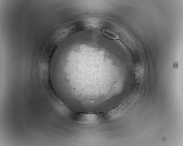 X0000102380409200808151902