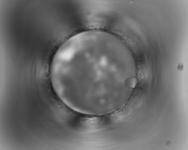 X0000102380411200808151902