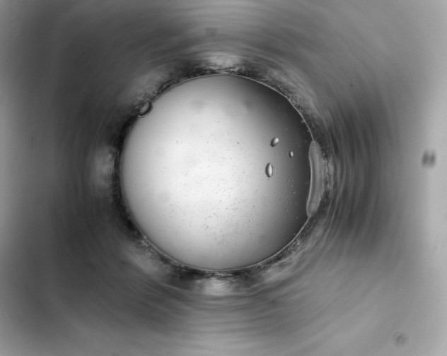 X0000102380412200808151902