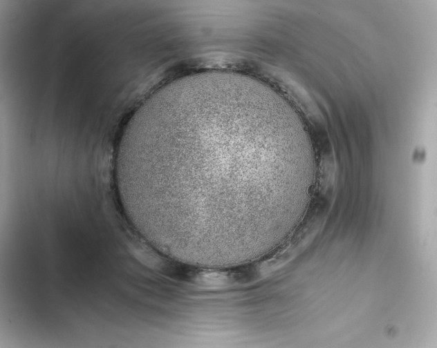 X0000102380413200808151902