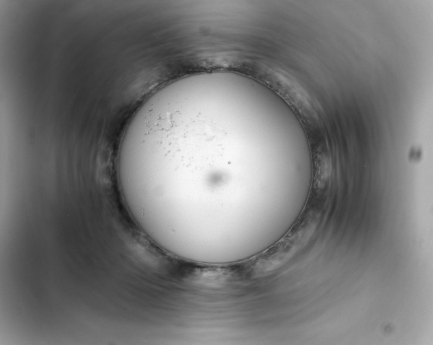 X0000102380414200808151902