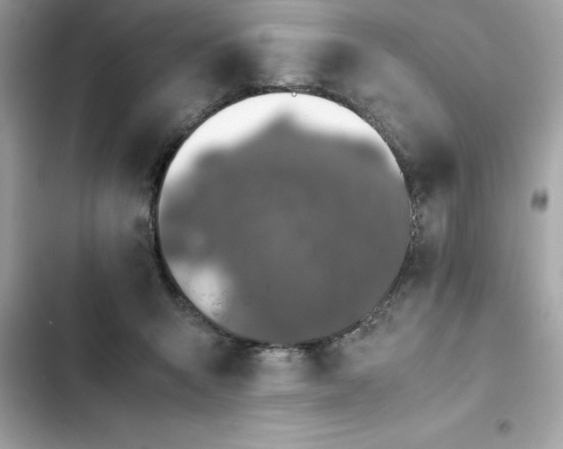 X0000102380415200808151902