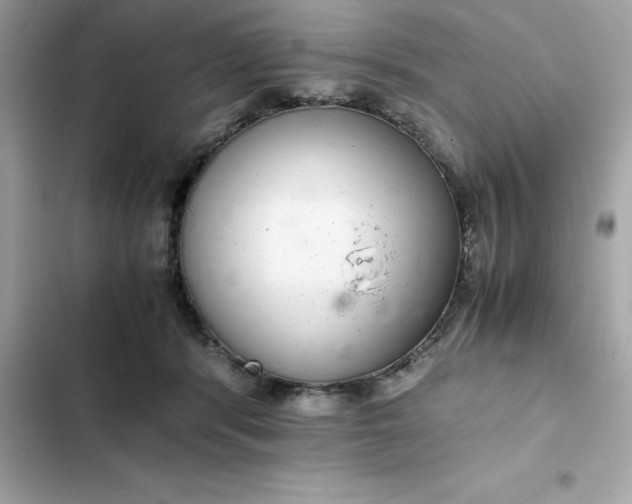 X0000102380416200808151902