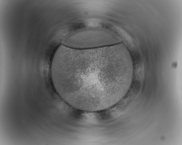 X0000102380417200808151902