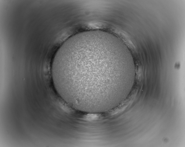 X0000102380418200808151902