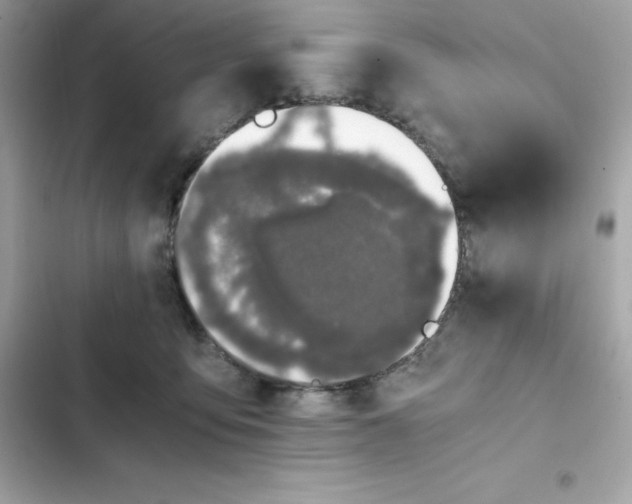 X0000102380419200808151902