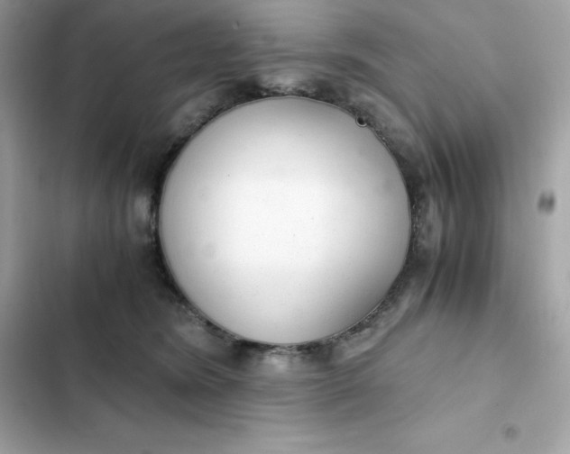 X0000102380420200808151902