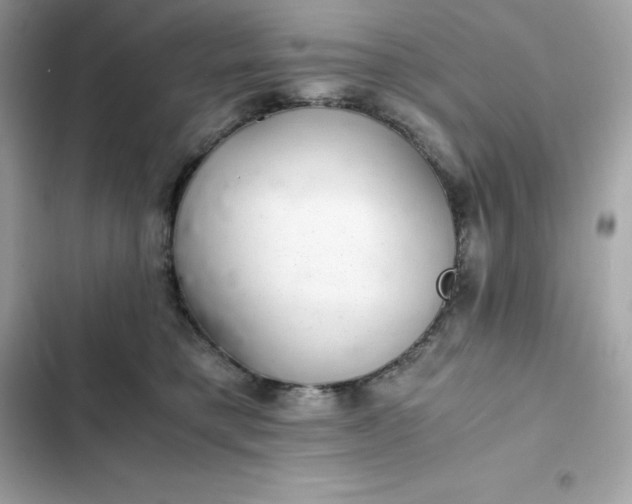 X0000102380421200808151902