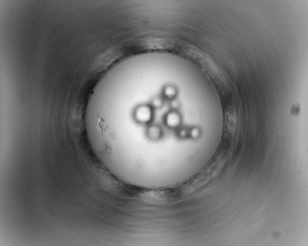 X0000102380422200808151902