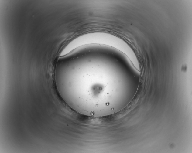 X0000102380423200808151902