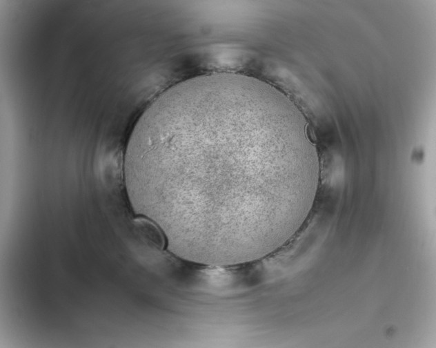 X0000102380425200808151902