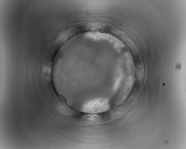 X0000102380427200808151902