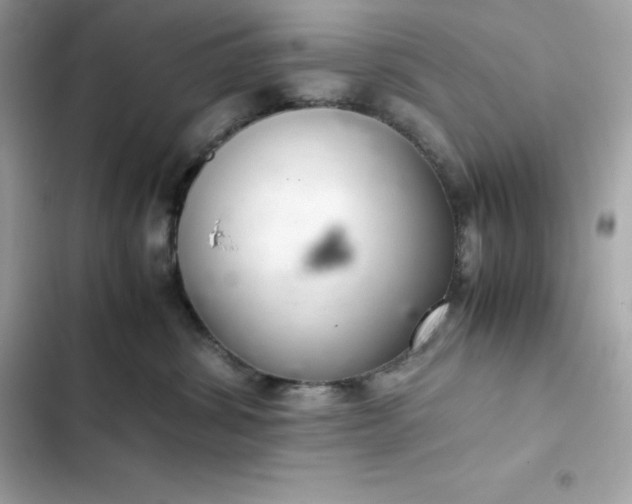 X0000102380428200808151902