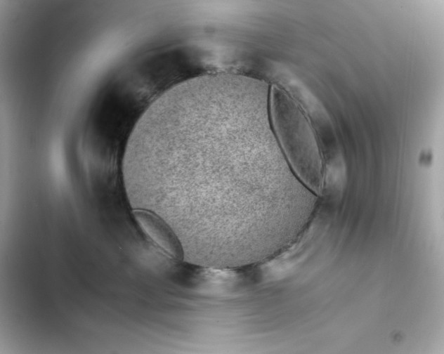 X0000102380429200808151902