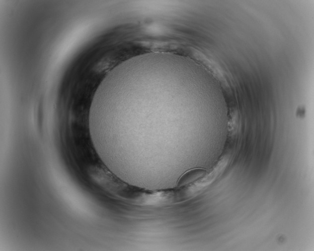 X0000102380430200808151902