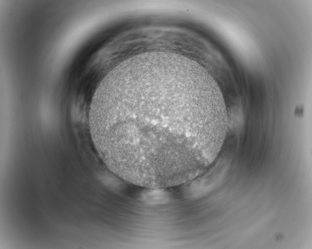 X0000102380431200808151902