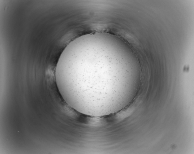 X0000102380432200808151902