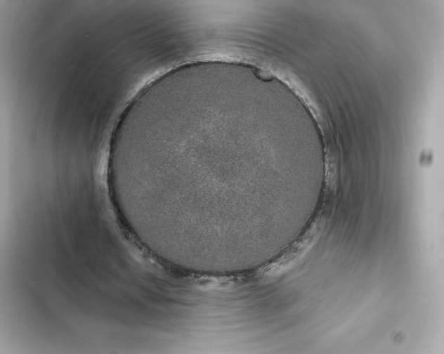 X0000102380434200808151901