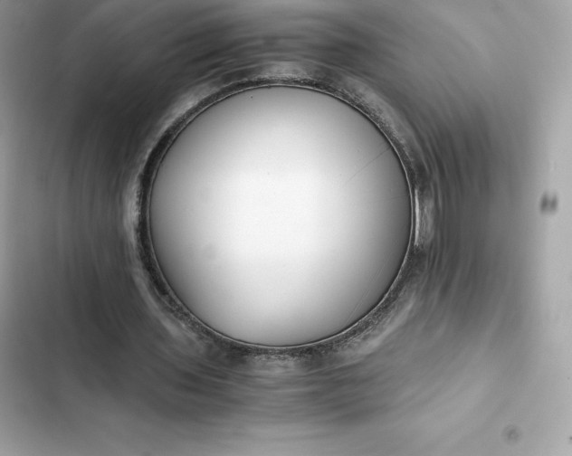 X0000102380435200808151901