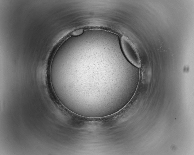 X0000102380436200808151901