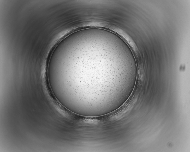 X0000102380437200808151901