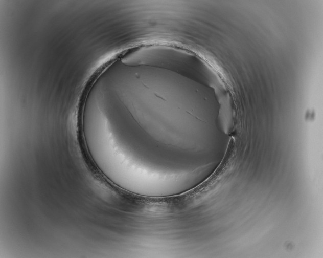 X0000102380438200808151901