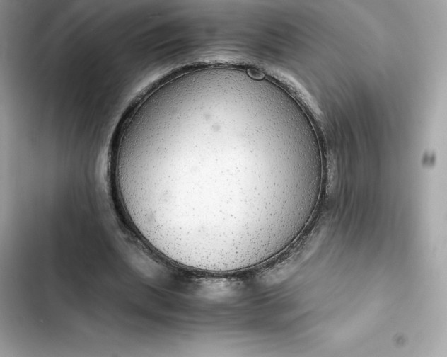 X0000102380439200808151901