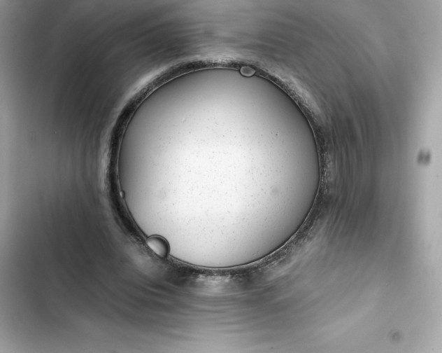 X0000102380440200808151901