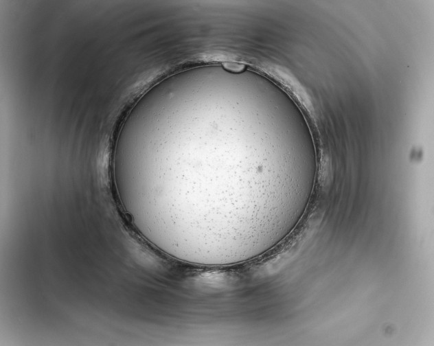 X0000102380441200808151901