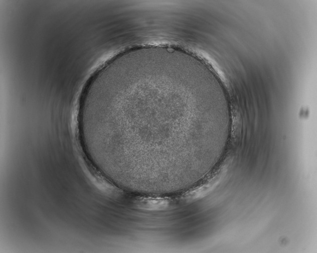 X0000102380443200808151901