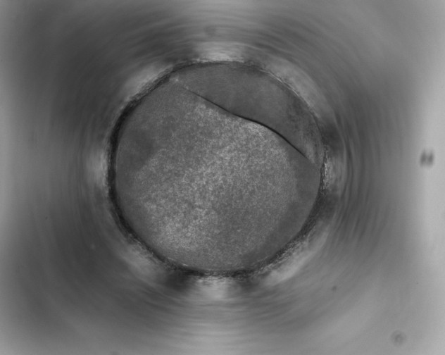 X0000102380444200808151901