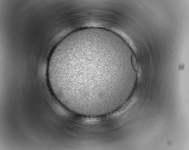 X0000102380445200808151901