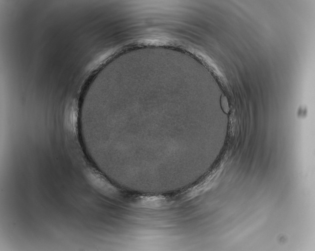 X0000102380446200808151901