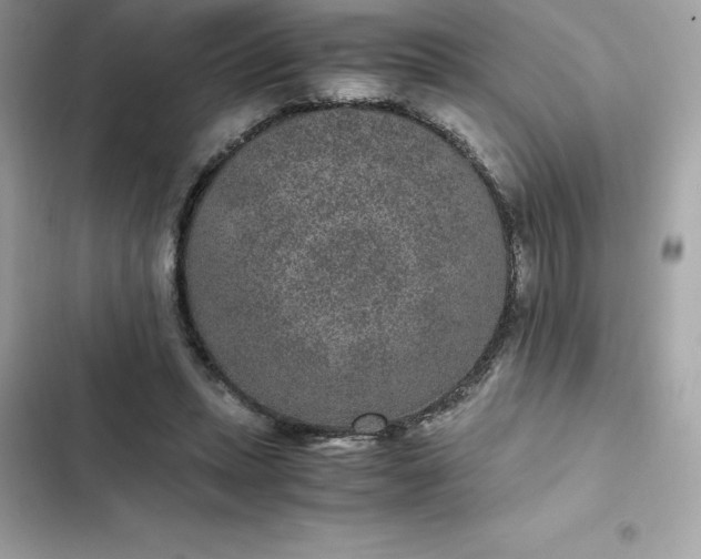 X0000102380447200808151901