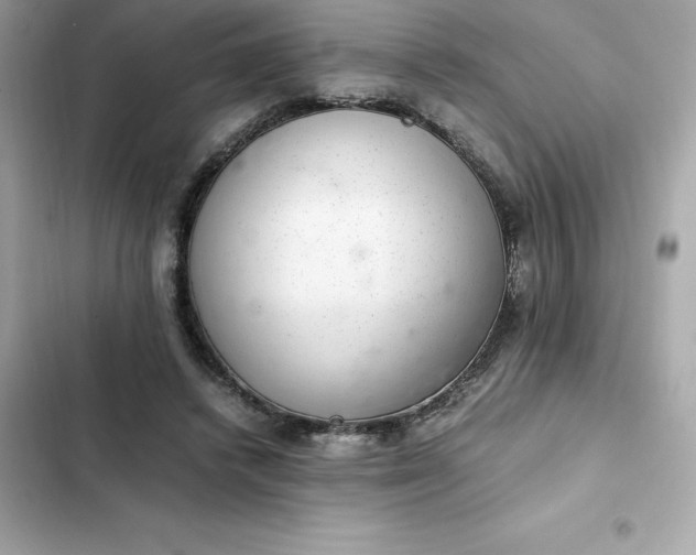 X0000102380448200808151901