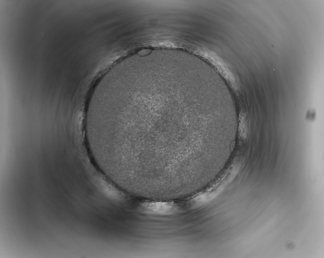 X0000102380449200808151901