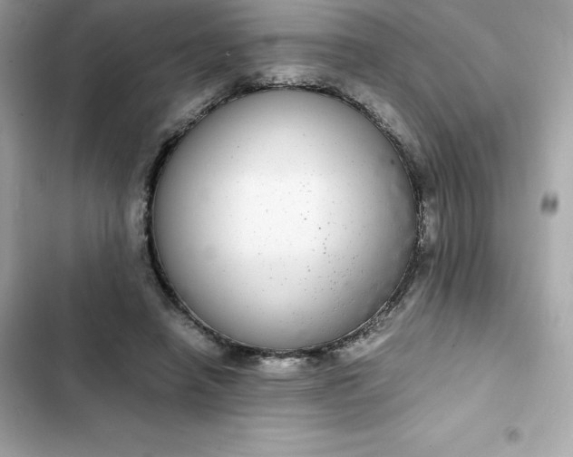 X0000102380450200808151901