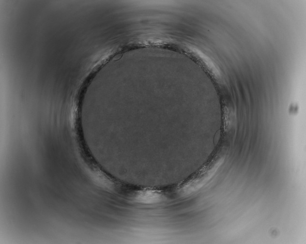 X0000102380451200808151901