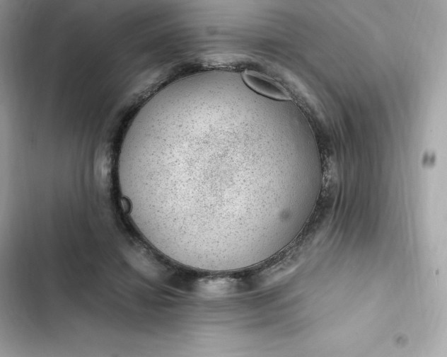 X0000102380452200808151901