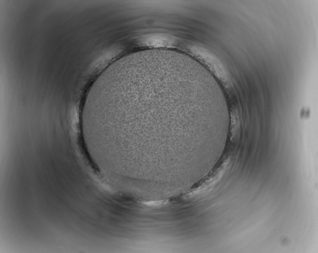 X0000102380453200808151901