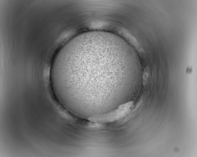 X0000102380454200808151901