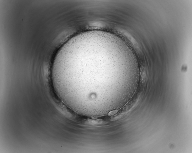 X0000102380455200808151901