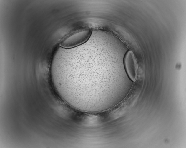 X0000102380456200808151901