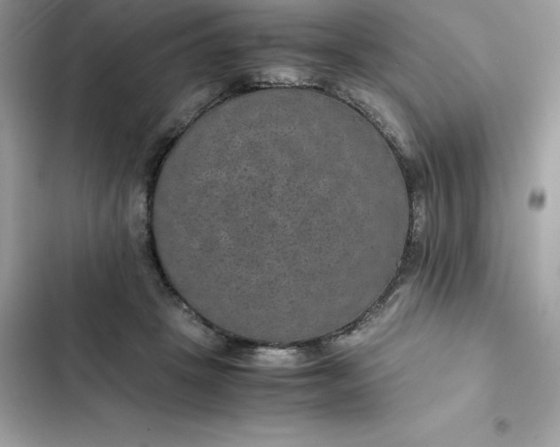 X0000102380457200808151901