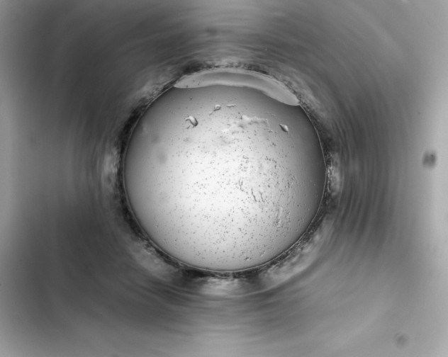 X0000102380458200808151901