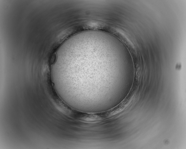 X0000102380459200808151901