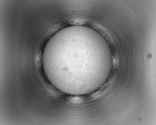 X0000102380460200808151901