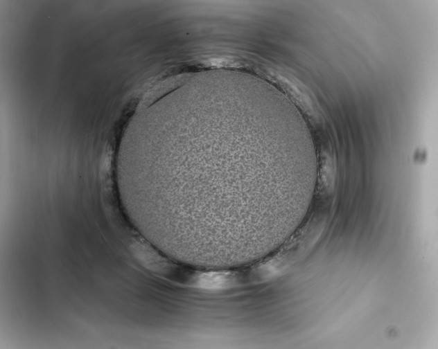 X0000102380461200808151901