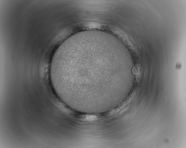 X0000102380462200808151901